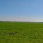 Abdou Casa Profile Picture