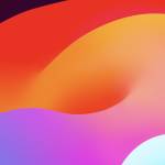 Chb Hamid Profile Picture