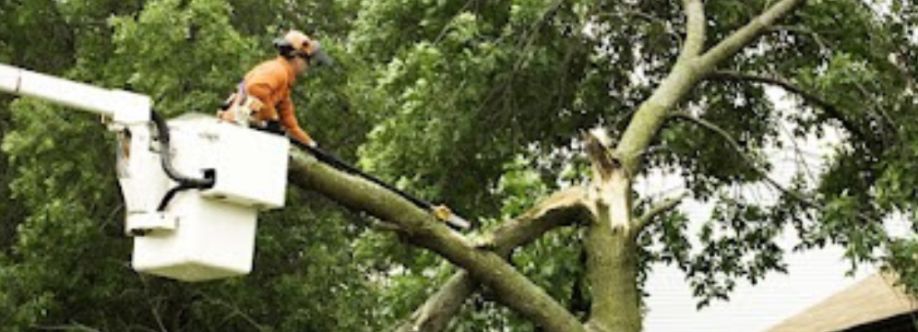 Alpha Arborcare LLC Cover Image