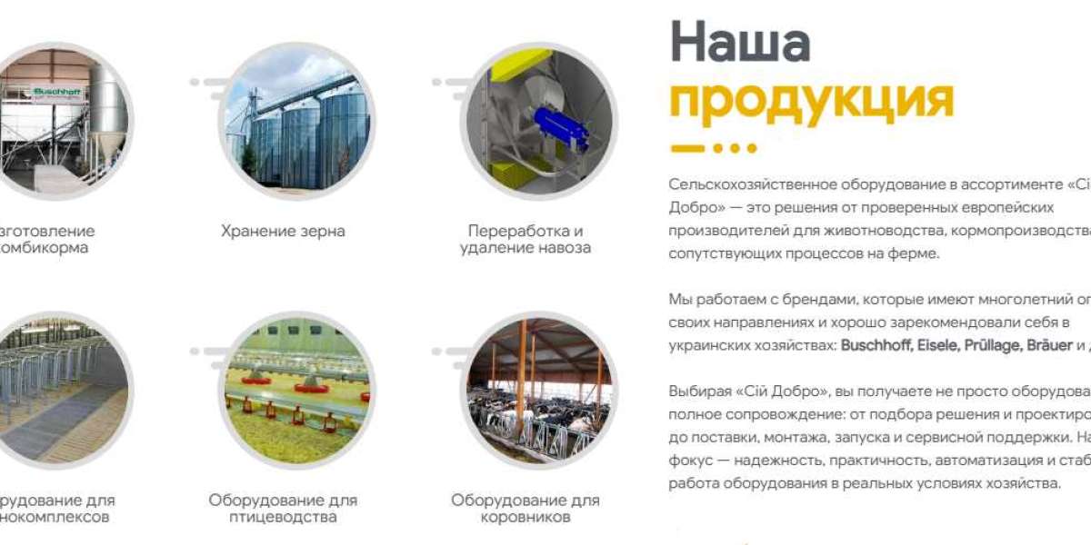 Article Picture