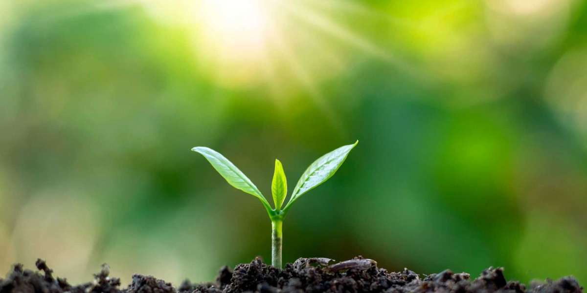 Strategic Insights into the Oman Fertilizer Market: Size, Share, Trends, and Growth Forecast (2026–2034)